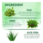 Roop Beauty Neem Aloevera & Tulsi Soap 75GM (PACK OF 2) - Image 3
